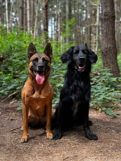 Lyla and Poppy to the USA